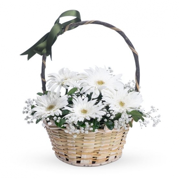  Muratlı Çiçek Siparişi SEPETTE BEYAZ GERBERA ARANJMANI