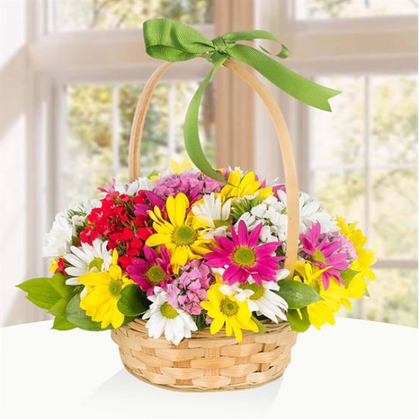  Muratlı Çiçek SEPETTE RENKLİ PAPATYA ARANJMAN