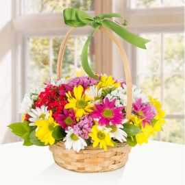  Muratlı Çiçek SEPETTE RENKLİ PAPATYA ARANJMAN